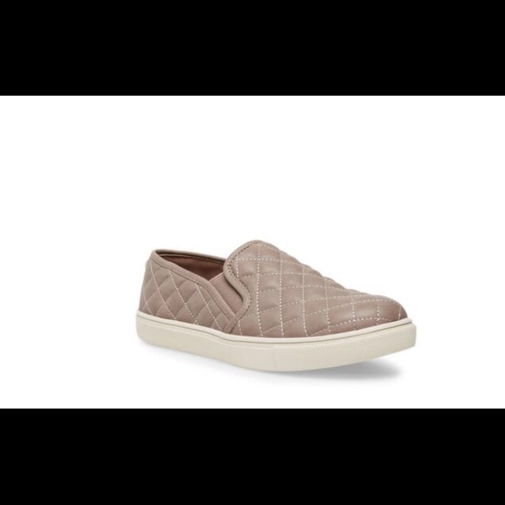 Steve Madden ECENTRCQ